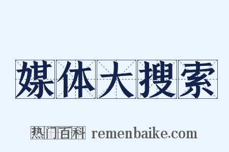 媒体大搜索是什么意思的图片